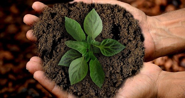 Uso sustentável dos recursos naturais